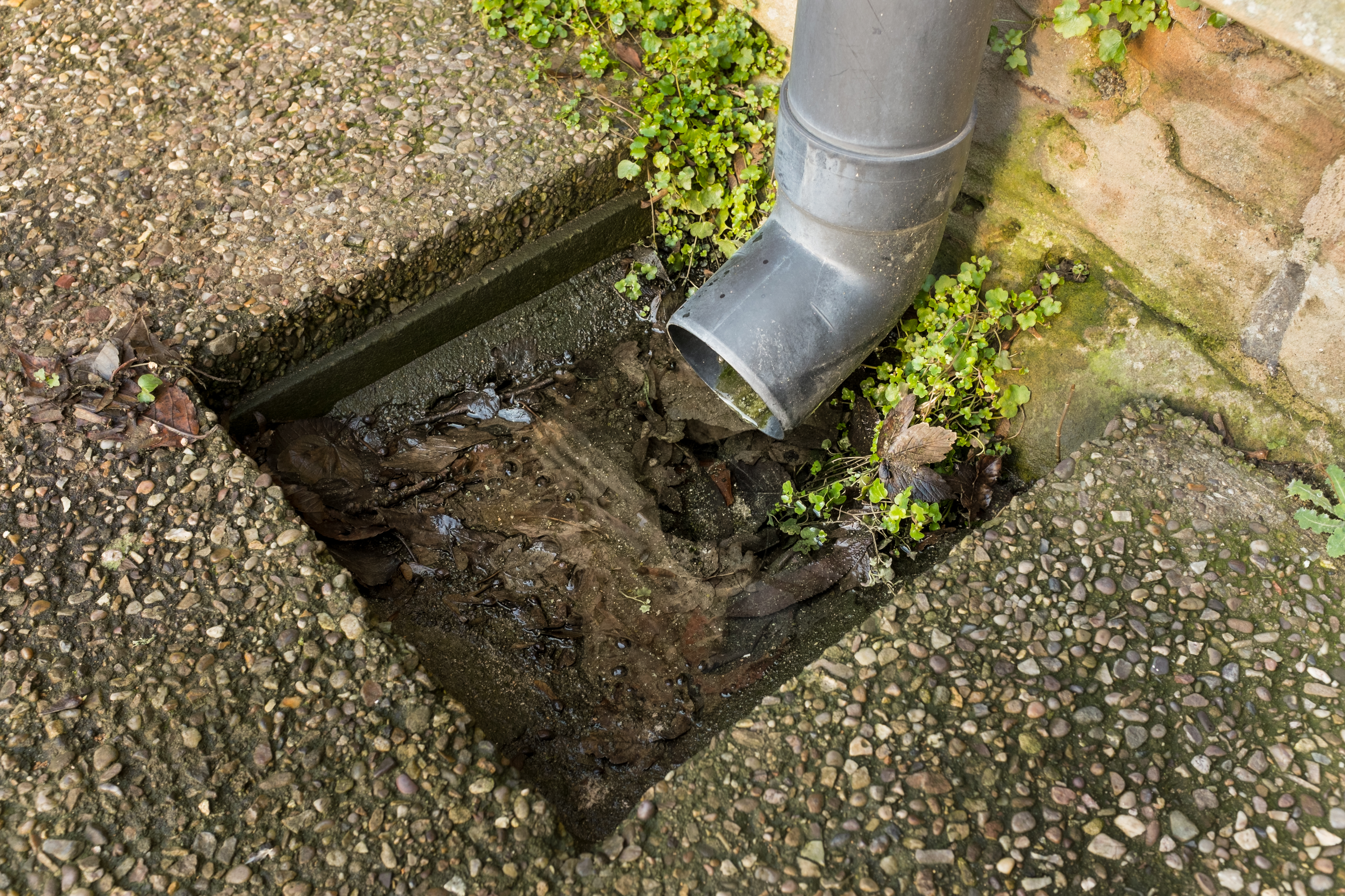 outdoor rainwater/storm drain in Britain