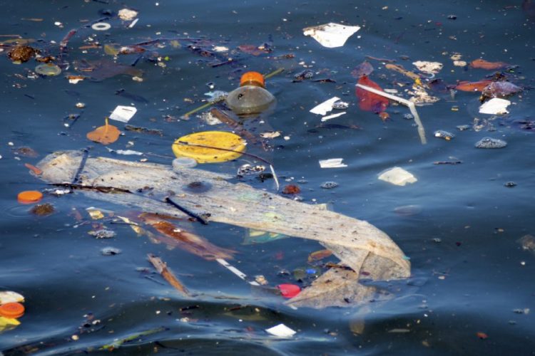 litter and rubbish floating in the sea
